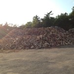 wood chippings